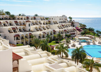 يحيي قطب : ارتفاع محفظة استثمارات تطوير فنادق أبوظبي للاستثمارات السياحية قد تصل الي 9.5 مليار جنيه