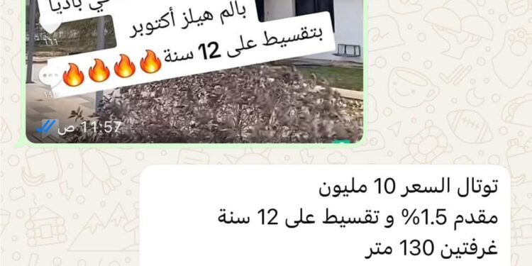 الوجه الآخر لبالم هيلز: أسعار خيالية وراء الإعلانات الرنانة