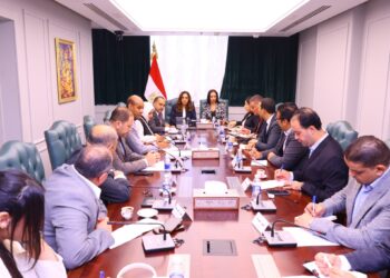 وزيرتا التضامن والتنمية المحلية تتابعان آليات تنفيذ مبادرة «سكن كريم من أجل حياة كريمة»