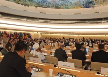 *منظمة العمل الدولية تعتمد فلسطين عضو مراقب..ووزير العمل يلقي كلمة مصر ويؤكد ثوابت الدولة المصرية لصالح القضية الفلسطينية…*