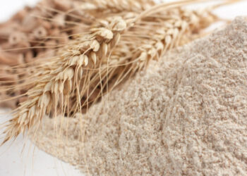 أبرزها دقيق القمح.. قرار حكومي يُلزم بسداد القيمة الكاملة لـ4 سلع عند التصدير