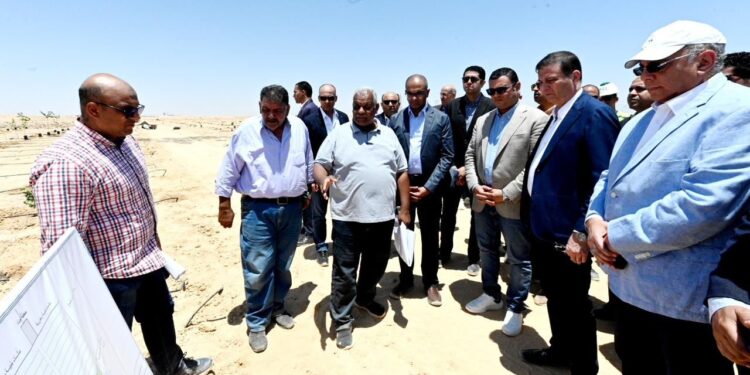 وزيرا الزراعة والإسكان يتفقدان تجارب استصلاح الأراضي في مدينة العلمين الجديدة