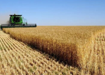 بأنظمة سداد مرنة وأقساط على 10 سنوات.. تعرف على شروط الحصول على قطعة أرض في مشروع 1.5 مليون فدان