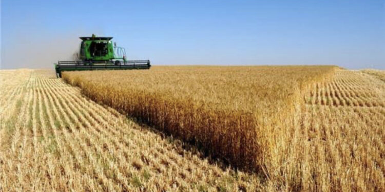 بأنظمة سداد مرنة وأقساط على 10 سنوات.. تعرف على شروط الحصول على قطعة أرض في مشروع 1.5 مليون فدان