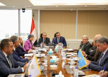وزيرا الإسكان وقطاع الأعمال العام يبحثان مستجدات التعاون في تطوير عدد من الأصول وموقف المشروعات المشتركة