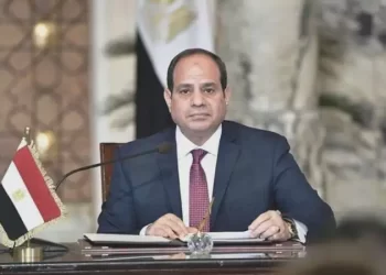 الرئيس السيسي يصدق على منحة أوروبية بقيمة 7 ملايين يورو لدعم برنامج المرفق الأخضر