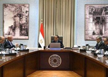 رئيس الوزراء يتابع جهود دعم وتوطين الصناعة في مصر
