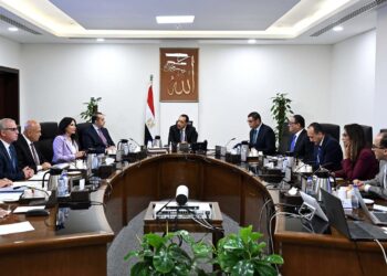 “مدبولي” يستعرض آليات تنفيذ مشروعات الكهرباء بالمدن الجديدة بالمشاركة مع القطاع الخاص