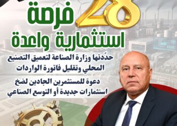 28 فرصة استثمارية واعدة المحددة من وزارة الصناعة بهدف تعميق التصنيع المحلي وتلبية احتياجات السوق 