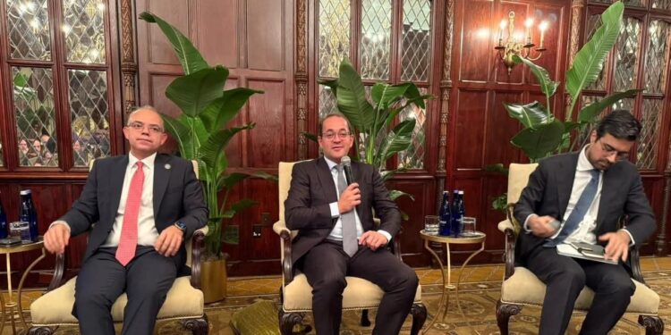 وزير الماليةفي حوار مع مستثمرين دوليين ببنك «ستاندرد تشارترد» و«سيتي بنك»:الاقتصاد المصرى.. يتحسن وينمو بتزايد ثقة المستثمرين