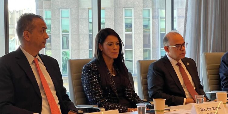 الدكتور محمد فريد يشارك في لقاء مع المجلس الأطلسي لاستعراض جهود التحول الرقمي ودعم ريادة الأعمال والشركات الناشئة في مصر