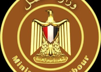 وزارة العمل: 80 فرصة عمل للسيدات بمحافظة الجيزة بالتعاون مع مؤسسة التضامن