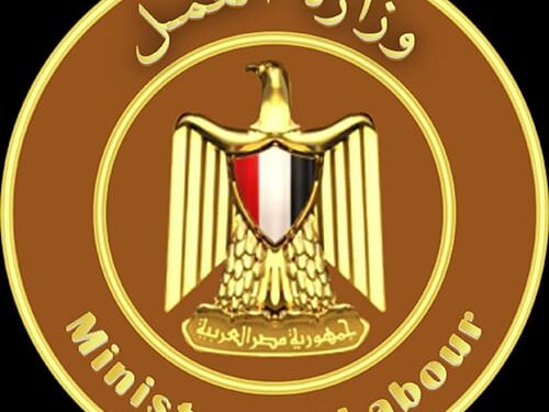 وزارة العمل: 80 فرصة عمل للسيدات بمحافظة الجيزة بالتعاون مع مؤسسة التضامن