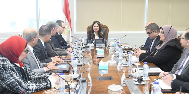 المهندسة راندة المنشاوي: مشروعات “حياة كريمة” تمثل أولوية قصوى على أجندة عمل الوزارة خلال المرحلة المقبلة