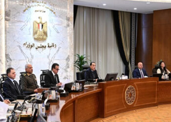 توجيهات رئاسية بالتوسع في الاعتماد على الطاقة الشمسية.. تفاصيل