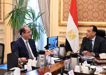 الحكومة تبدأ إجراءات التحول نحو السيارات الكهربائية