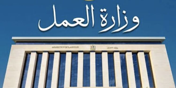 برامج متخصصة لحماية العاملين.. وزارة العمل تُعلن إطلاق الخطة التدريبية للمركز القومي للسلامة والصحة المهنية