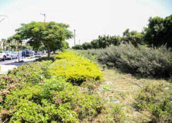 المنشاوي توجه بسرعة الانتهاء من أعمال تطوير الطرق ومداخل مدينة بدر