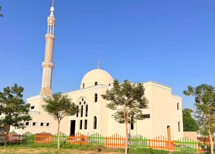 وزيرة الإسكان تتابع موقف تنفيذ عدد من المشروعات والخدمات بمدينتي قنا والمنيا الجديدتين