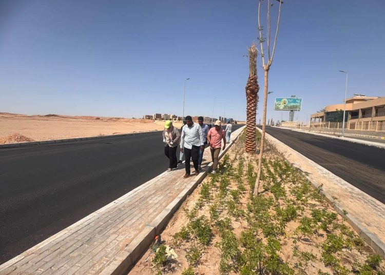 «وزيرة الإسكان» تُتابع مشروعات «سكن لكل المصريين» وتطوير المدن الجديدة بالصعيد