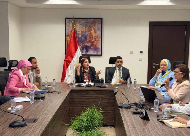 «الإسكان» تستعرض استراتيجية التنمية المكانية لـ«غرب القاهرة» بالتعاون مع البنك الدولي
