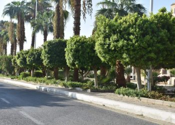 راندة المنشاوي تشدد على أهمية استمرار المتابعة الميدانية لمختلف ملفات العمل بالمدن الجديدة
