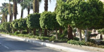 راندة المنشاوي تشدد على أهمية استمرار المتابعة الميدانية لمختلف ملفات العمل بالمدن الجديدة