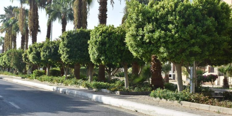 راندة المنشاوي تشدد على أهمية استمرار المتابعة الميدانية لمختلف ملفات العمل بالمدن الجديدة